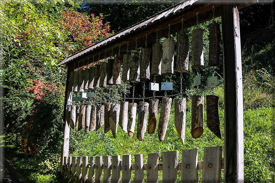 foto Giardini Trauttmansdorff - Paesaggi dell'Alto Adige